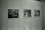 gallery1