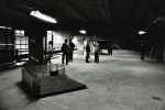 gallery1