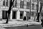  1972-04-05 ias tucic resin pobesnela krava