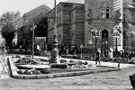  1972-04-05 ias tucic resin pobesnela krava