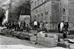  1972-04-05 ias tucic resin pobesnela krava