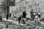  1972-04-05 ias tucic resin pobesnela krava