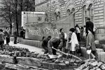  1972-04-05 ias tucic resin pobesnela krava