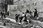  1972-04-05 ias tucic resin pobesnela krava