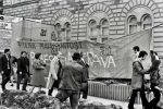  1972-04-05 ias tucic resin pobesnela krava