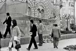  1972-04-05 ias tucic resin pobesnela krava
