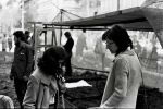  1972-04-05 ias tucic resin pobesnela krava
