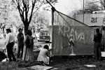  1972-04-05 ias tucic resin pobesnela krava