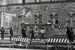 1972-04-05 ias tucic resin pobesnela krava