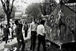  1972-04-05 ias tucic resin pobesnela krava